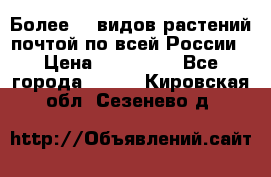 Более200 видов растений почтой по всей России › Цена ­ 100-500 - Все города  »    . Кировская обл.,Сезенево д.